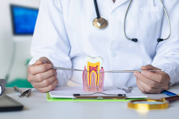 Best Root Canal Emergency Dentist  in Old Forge, PA